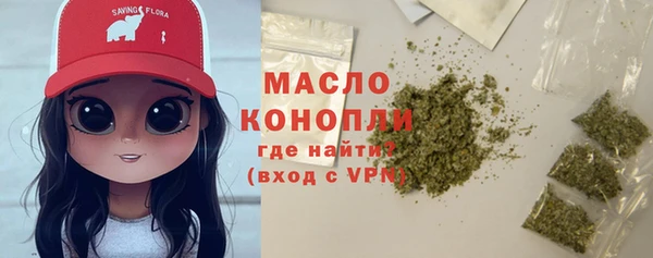 молекула духа Михайлов