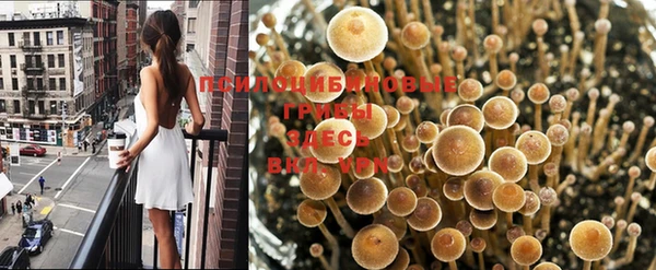 MDMA Михайловка
