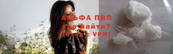 молекула духа Михайлов