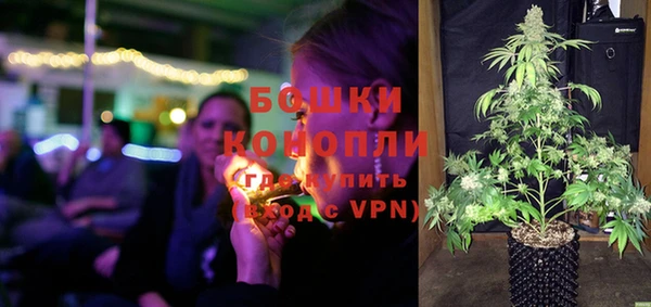apvp Бердск